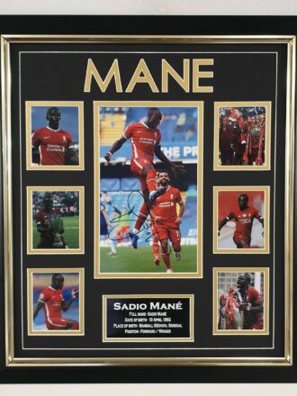 Mane Signed Picture Framed